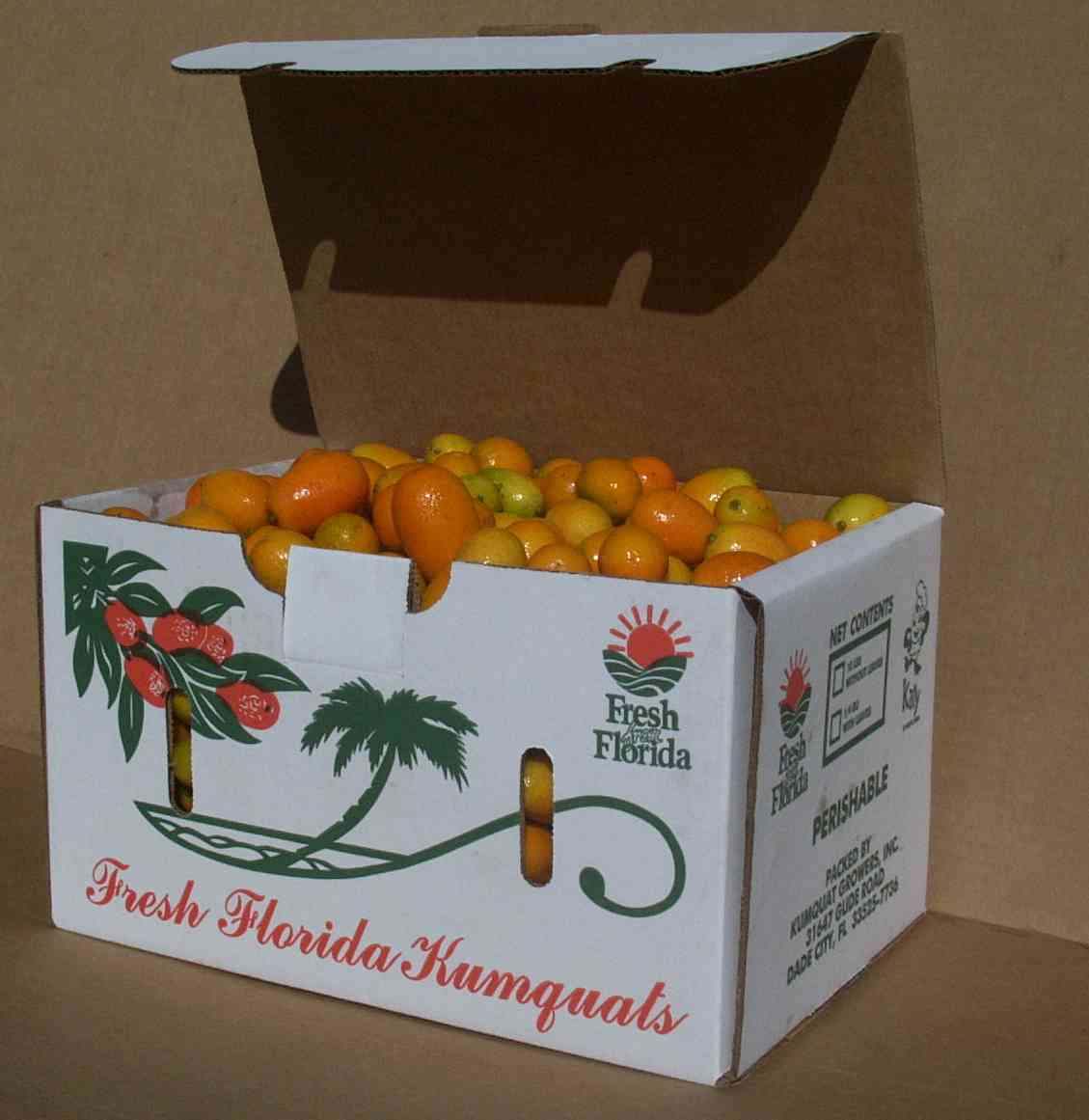 10 lb box of Fresh Florida Kumquats Kumquat Growers