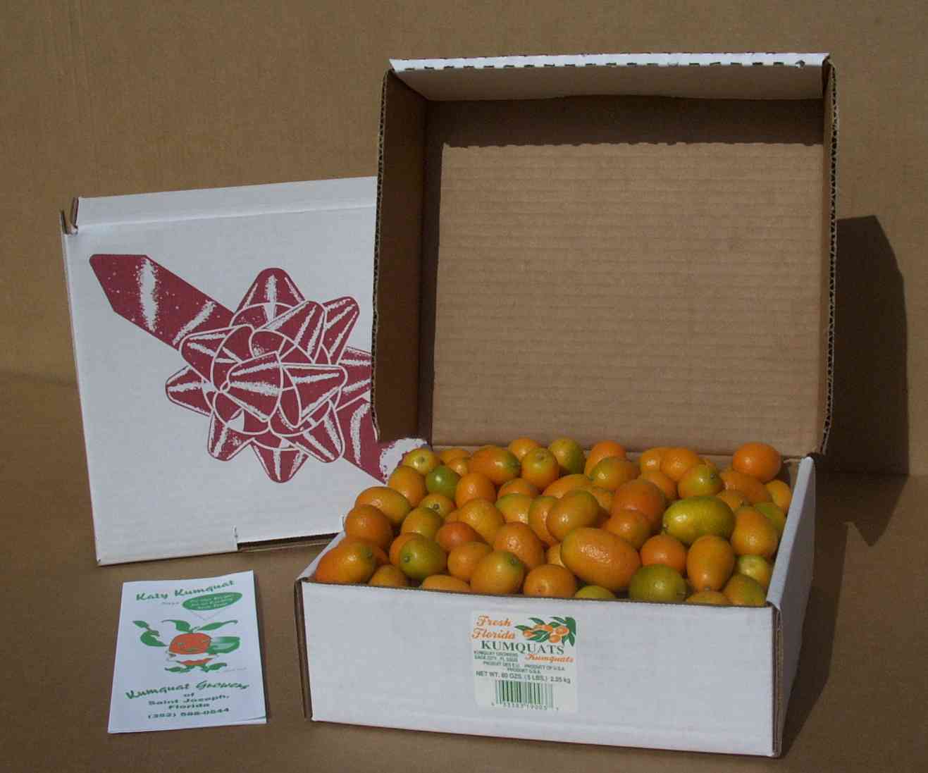 1 quart box of Fresh Florida Kumquats Kumquat Growers